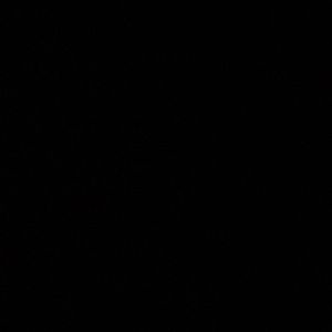 Meet your Posher, Rita